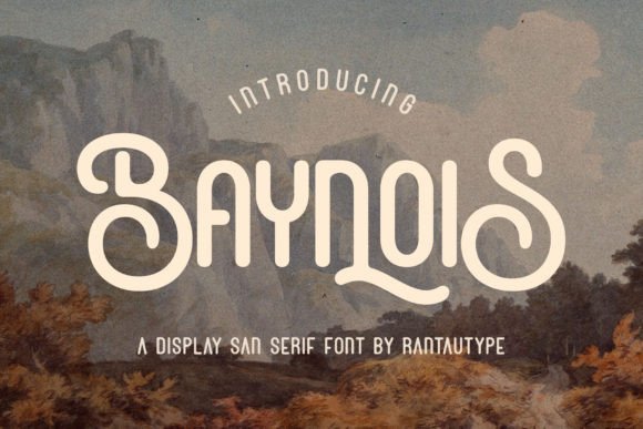 Baynois: A Vintage Display Typeface for Modern Web Design